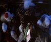 gremlins_0103