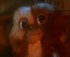 gremlins_0021
