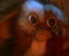 gremlins_0020