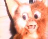 gremlins_0023